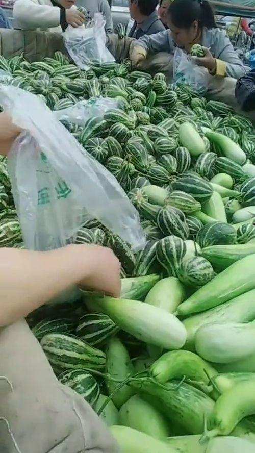 吃瓜好吃的视频