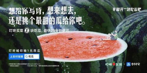 盐城吃瓜文案,一场味蕾与文化的碰撞之旅