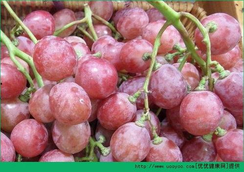 孕初期吃网纹瓜,营养美味两不误