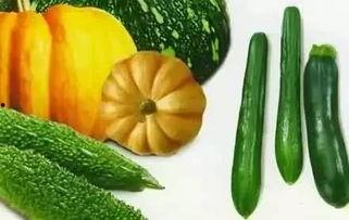 徐赫吃瓜,揭秘娱乐圈幕后故事