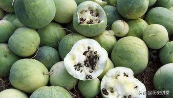 嗑瓜的吃瓜,揭秘吃瓜背后的趣味与真相