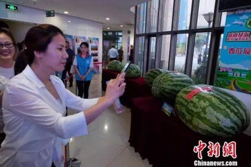 菏泽学院吃瓜视频