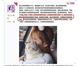 吃瓜群众网页游戏
